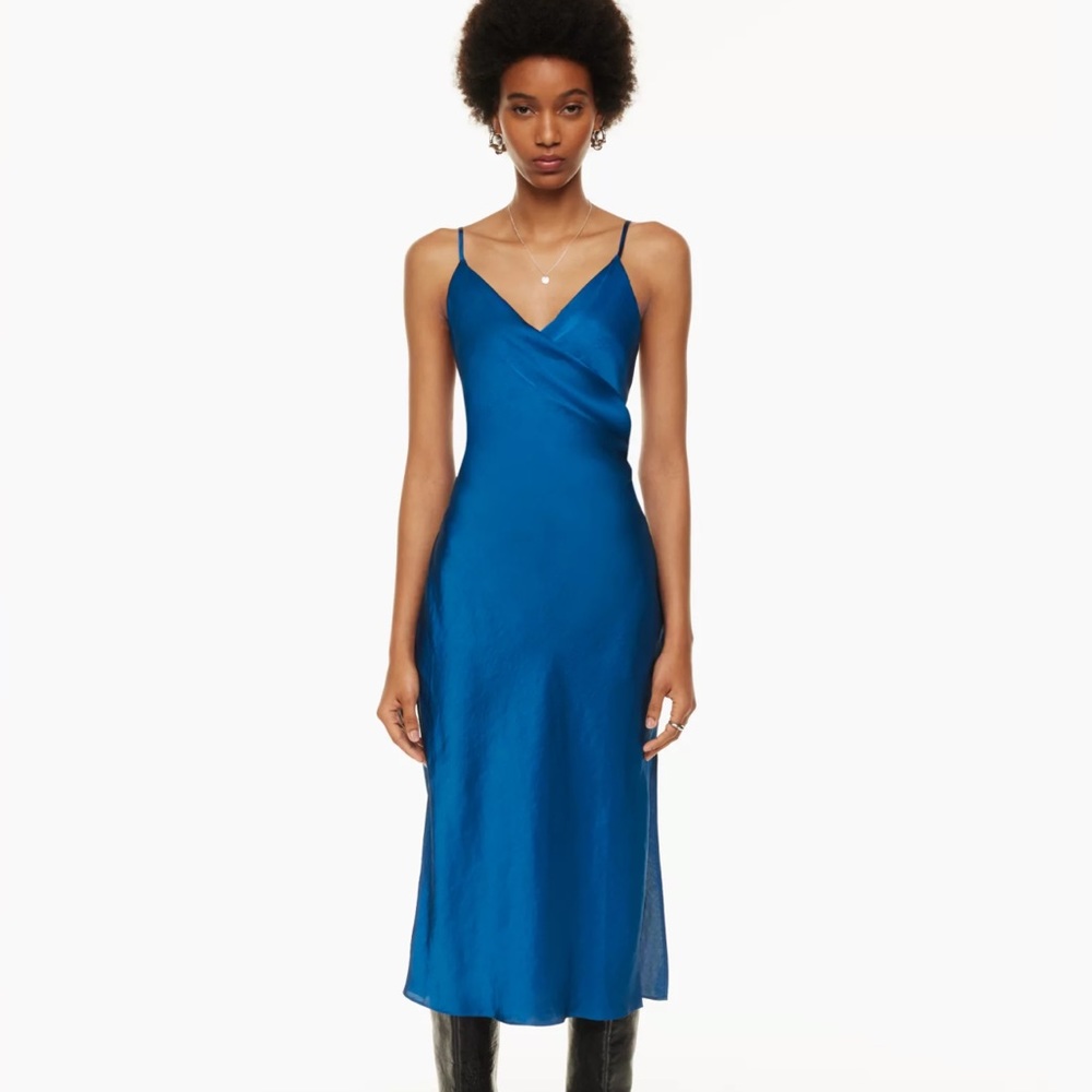 NWT Aritzia Wilfred Scenery Dress